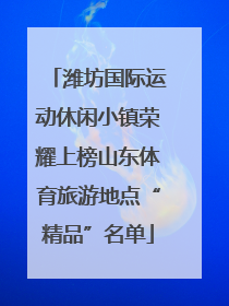 潍坊国际运动休闲小镇荣耀上榜山东体育旅游地点“精品”名单