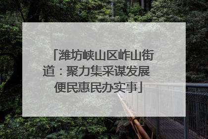 潍坊峡山区岞山街道：聚力集采谋发展 便民惠民办实事