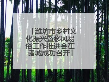 潍坊市乡村文化振兴暨移风易俗工作推进会在诸城成功召开