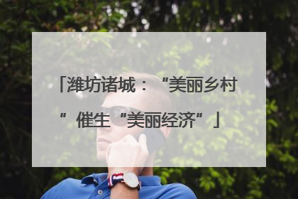 潍坊诸城：“美丽乡村”催生“美丽经济”