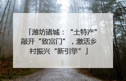潍坊诸城：“土特产”敲开“致富门”，激活乡村振兴“新引擎”