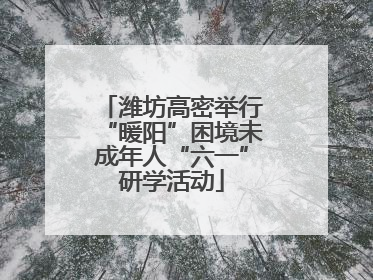 潍坊高密举行“暖阳”困境未成年人“六一”研学活动