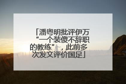 潘粤明批评伊万“一个装傻不辞职的教练”，此前多次发文评价国足