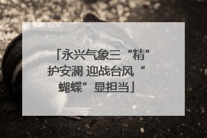 永兴气象三“精”护安澜 迎战台风“蝴蝶”显担当