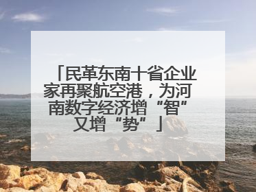 民革东南十省企业家再聚航空港，为河南数字经济增“智”又增“势”