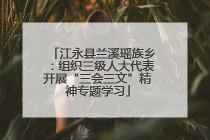 江永县兰溪瑶族乡：组织三级人大代表开展“三会三文”精神专题学习