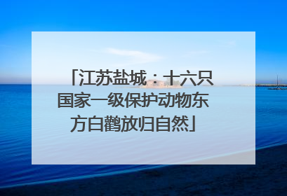 江苏盐城：十六只国家一级保护动物东方白鹳放归自然