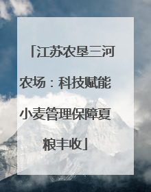 江苏农垦三河农场：科技赋能小麦管理保障夏粮丰收