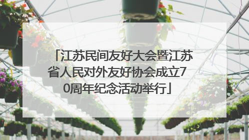 江苏民间友好大会暨江苏省人民对外友好协会成立70周年纪念活动举行