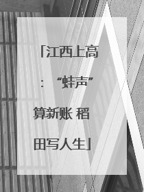 江西上高：“蛙声”算新账 稻田写人生