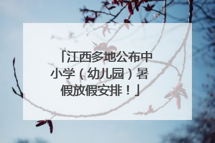 江西多地公布中小学（幼儿园）暑假放假安排！