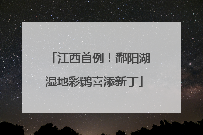 江西首例！鄱阳湖湿地彩鹮喜添新丁