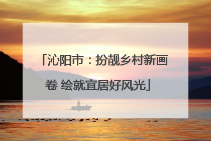 沁阳市：扮靓乡村新画卷 绘就宜居好风光