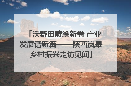 沃野田畴绘新卷 产业发展谱新篇——陕西岚皋乡村振兴走访见闻