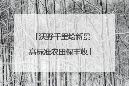 沃野千里绘新景 高标准农田保丰收