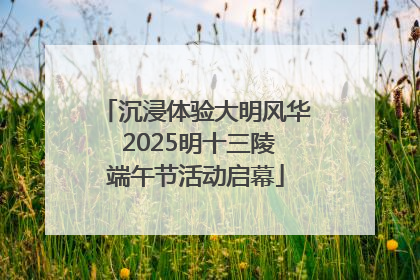 沉浸体验大明风华 2025明十三陵端午节活动启幕