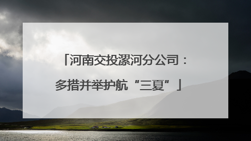 河南交投漯河分公司：多措并举护航“三夏”