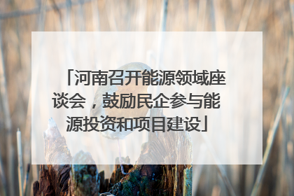 河南召开能源领域座谈会，鼓励民企参与能源投资和项目建设