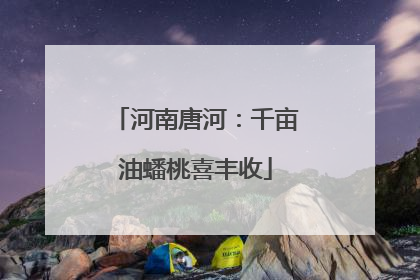 河南唐河：千亩油蟠桃喜丰收