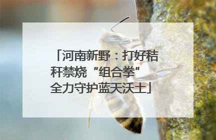 河南新野：打好秸秆禁烧“组合拳” 全力守护蓝天沃土