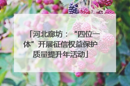 河北廊坊：“四位一体”开展征信权益保护质量提升年活动