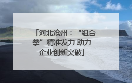 河北沧州：“组合拳”精准发力 助力企业创新突破