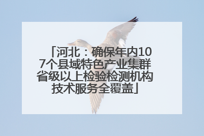 河北：确保年内107个县域特色产业集群省级以上检验检测机构技术服务全覆盖