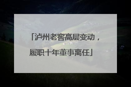 泸州老窖高层变动，履职十年董事离任