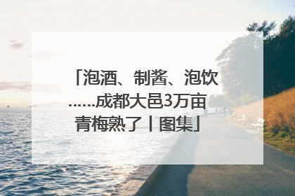 泡酒、制酱、泡饮……成都大邑3万亩青梅熟了丨图集