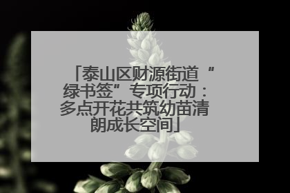 泰山区财源街道“绿书签”专项行动：多点开花共筑幼苗清朗成长空间