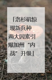 洛杉矶惊现新兵种 两大因素引爆加州“内战”升级