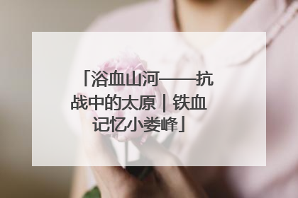 浴血山河——抗战中的太原｜铁血记忆小娄峰