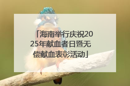海南举行庆祝2025年献血者日暨无偿献血表彰活动