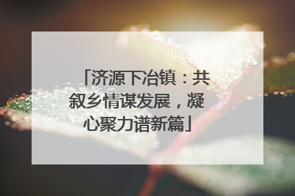 济源下冶镇：共叙乡情谋发展，凝心聚力谱新篇