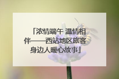 浓情端午 温情相伴——西站地区旅客身边人暖心故事