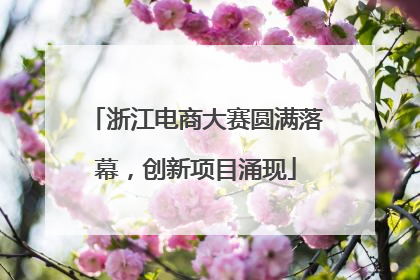 浙江电商大赛圆满落幕，创新项目涌现