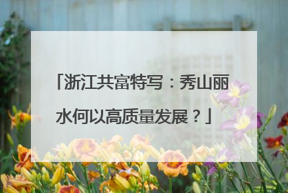 浙江共富特写：秀山丽水何以高质量发展？