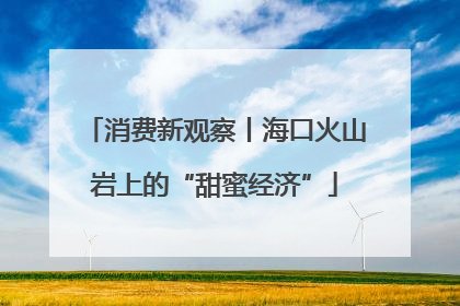 消费新观察丨海口火山岩上的“甜蜜经济”