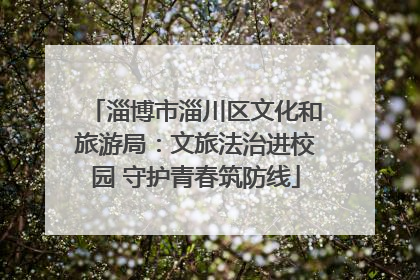 淄博市淄川区文化和旅游局：文旅法治进校园 守护青春筑防线