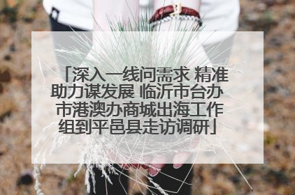 深入一线问需求 精准助力谋发展 临沂市台办 市港澳办商城出海工作组到平邑县走访调研