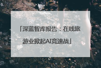 深蓝智库报告：在线旅游业掀起AI竞速战