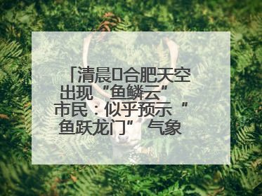 清晨﻿合肥天空出现“鱼鳞云” 市民：似乎预示“鱼跃龙门” 气象专家科普