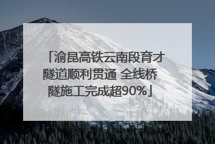 渝昆高铁云南段育才隧道顺利贯通 全线桥隧施工完成超90%