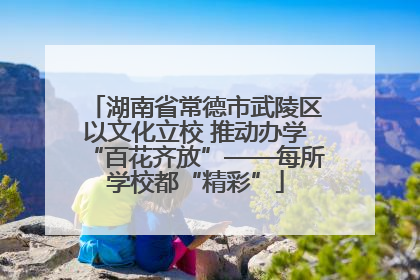 湖南省常德市武陵区以文化立校 推动办学“百花齐放”——每所学校都“精彩”