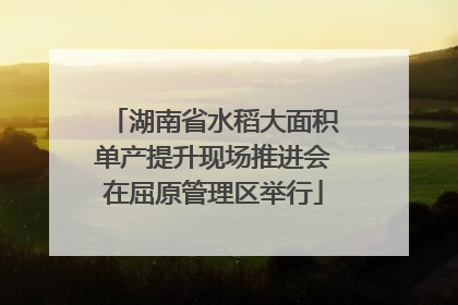 湖南省水稻大面积单产提升现场推进会在屈原管理区举行