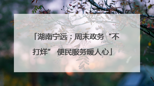湖南宁远：周末政务“不打烊” 便民服务暖人心