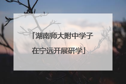 湖南师大附中学子在宁远开展研学