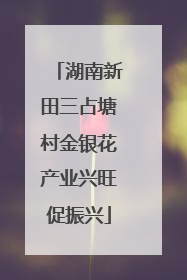 湖南新田三占塘村金银花产业兴旺促振兴