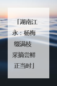 湖南江永：杨梅缀满枝 采摘尝鲜正当时