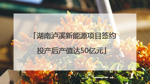 湖南泸溪新能源项目签约 投产后产值达50亿元